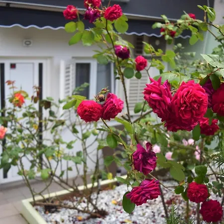 Loki's Dream شقة *